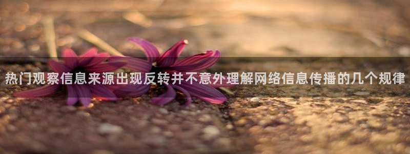 91吃瓜信息大全