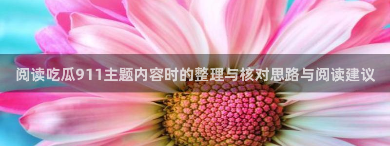 91吃瓜网页入口