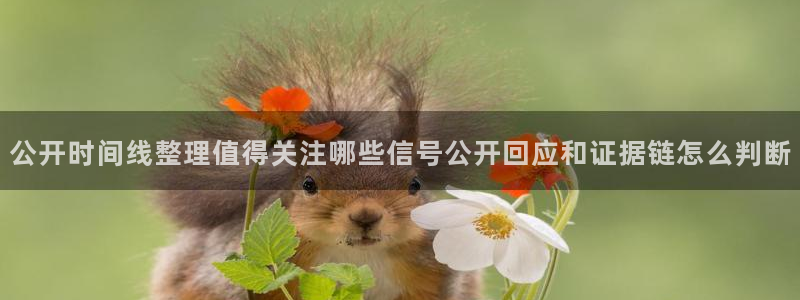 91吃瓜在线观看平台