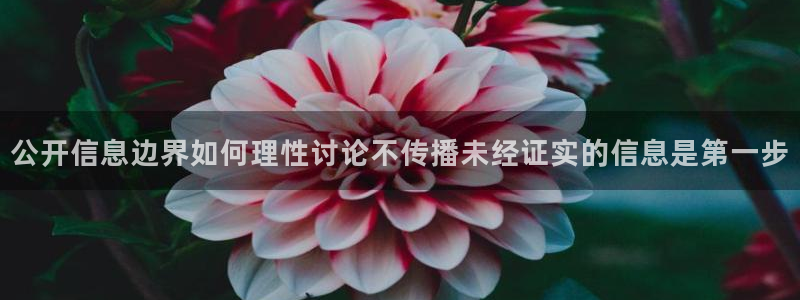 91吃瓜入口：公开信息边界如何理性讨论不传播未经证实的信息是第一步