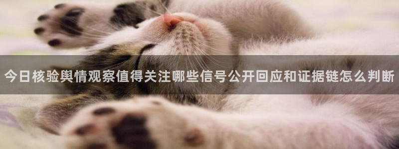 91吃瓜网站地址：今日核验舆情观察值得关注哪些信号公开回应和证据链怎么判断